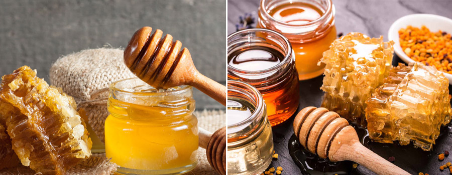 Top Best Honey Extractor
