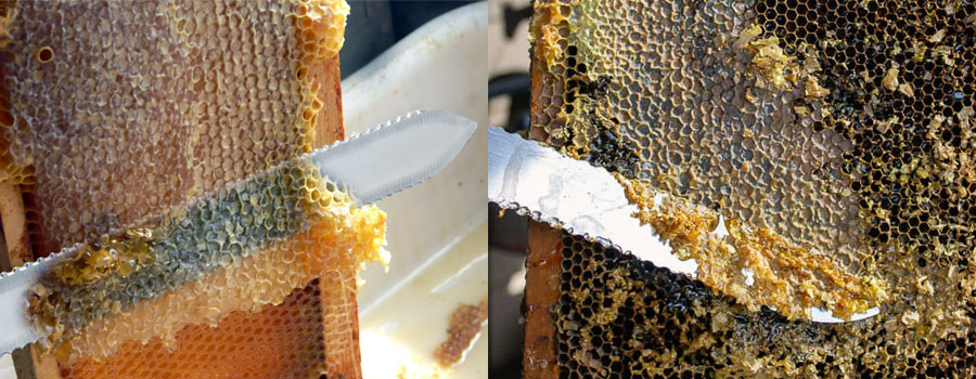 Honey Harvesting Tools