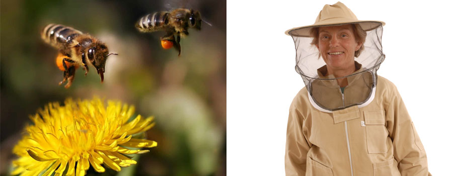 Best Effective Bee Suits 