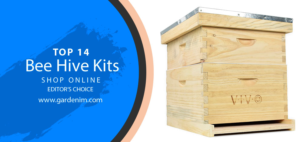 Bee Hive Kits