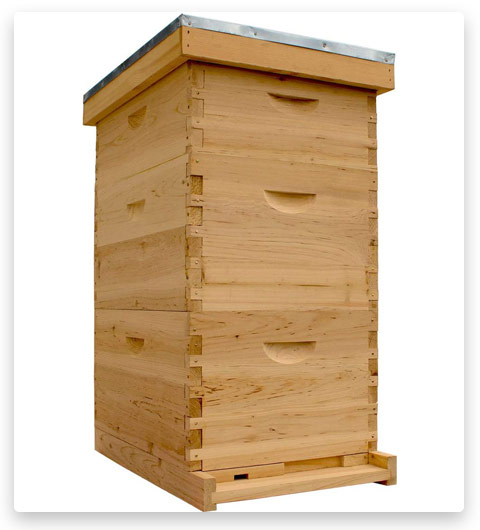 NuBee Hive Complete Frames Foundations