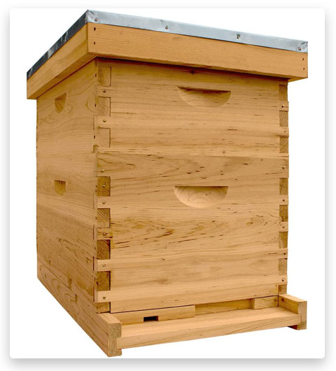 Starter Hive Frames Foundations NuBee Hive