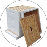 Best Bee Hive Kits