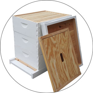 Best Bee Hive Kits 2023