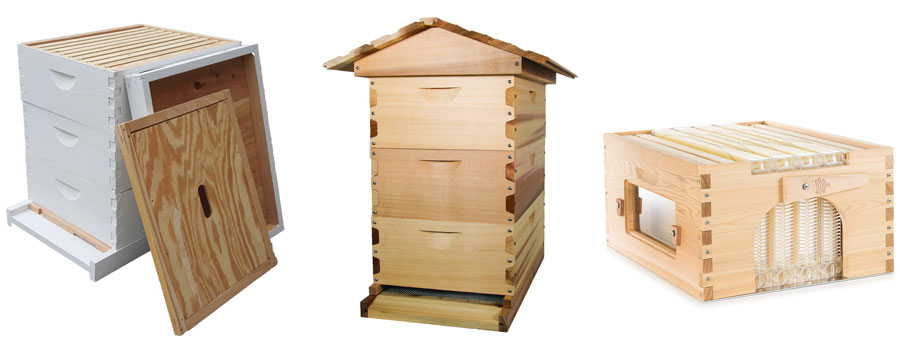 Top Bee Hive Kits