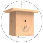 8 Best Carpenter Bee Trap Review