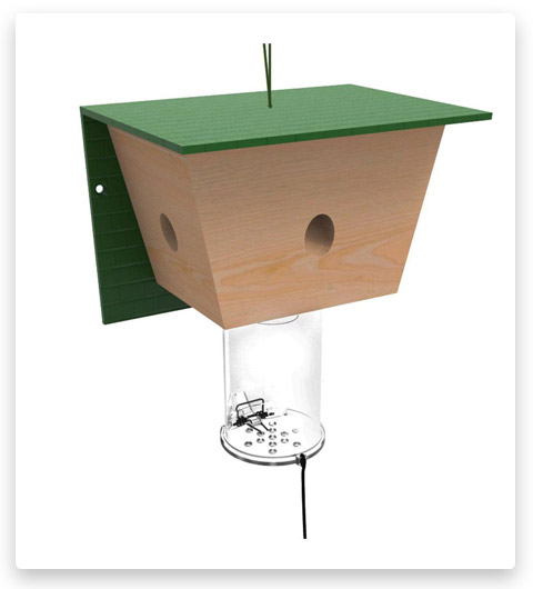 best bee brothers carpenter bee trap