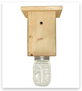 best bee brothers carpenter bee trap