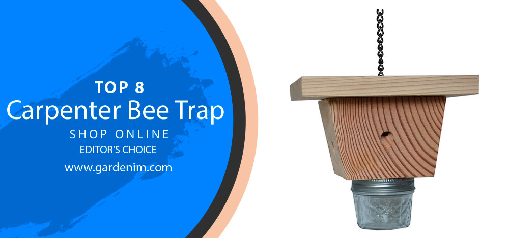 Carpenter Bee Trap