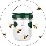 Top 11 Best Wasp Traps Review