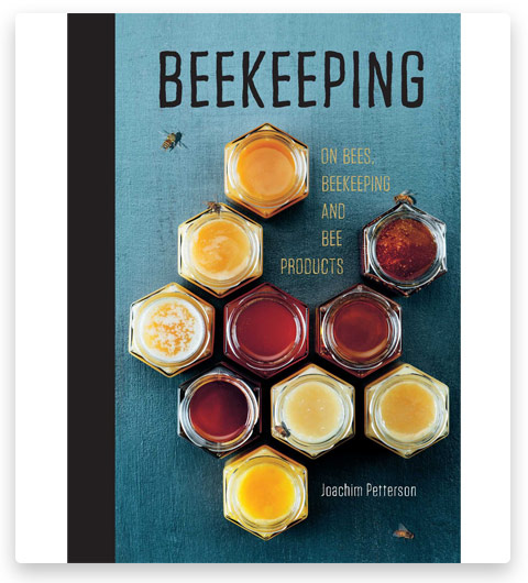 Beekeeping: Everything You Need to Know to Start First Beehive