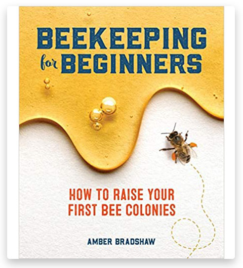 Beekeeping for Beginners: How To Raise First Bee Colonies