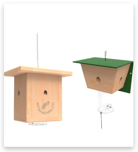 Best Bee Trap and Pinewood Box Trap Combo Pack