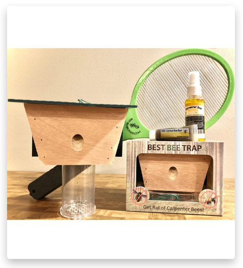 Best Carpenter Bee Control Kit