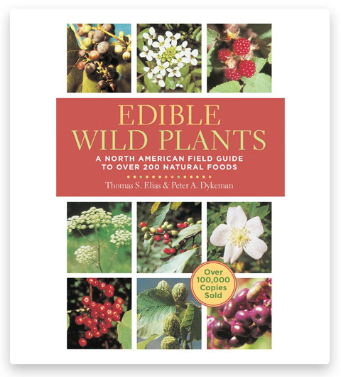 Garden Edible Wild Plants