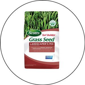 Best Grass Seed 2023