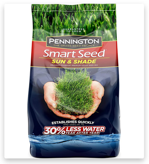 Pennington Smart Shade Grass Seed