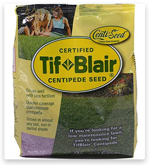 TifBlair Centipede Grass Seed