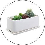 Ceramic Planter Box 2023