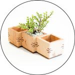 Best Wood For Planter Box 2023