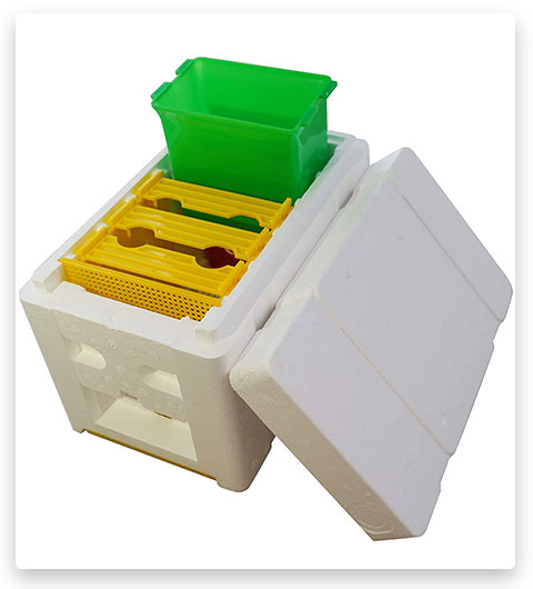 BEEXTM Bee Mating Nuc Hive Box Pollination Tool