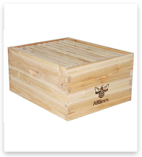 AliBees Bees Box kit 10-Frame