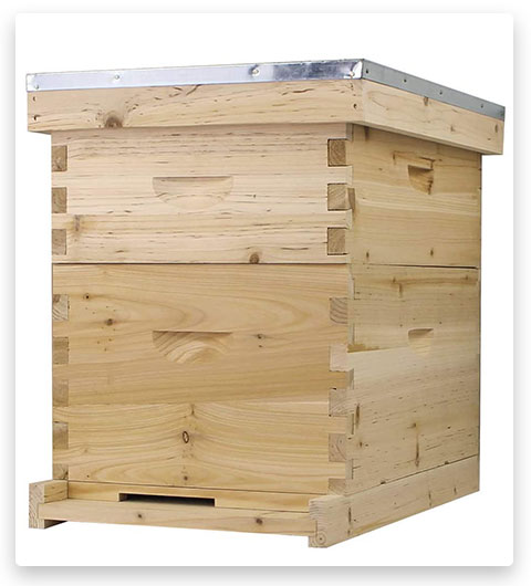 NuBee Hive Starter Bee Hive with Frames