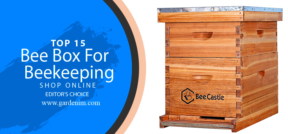 Best Bee Box for Beekeeping