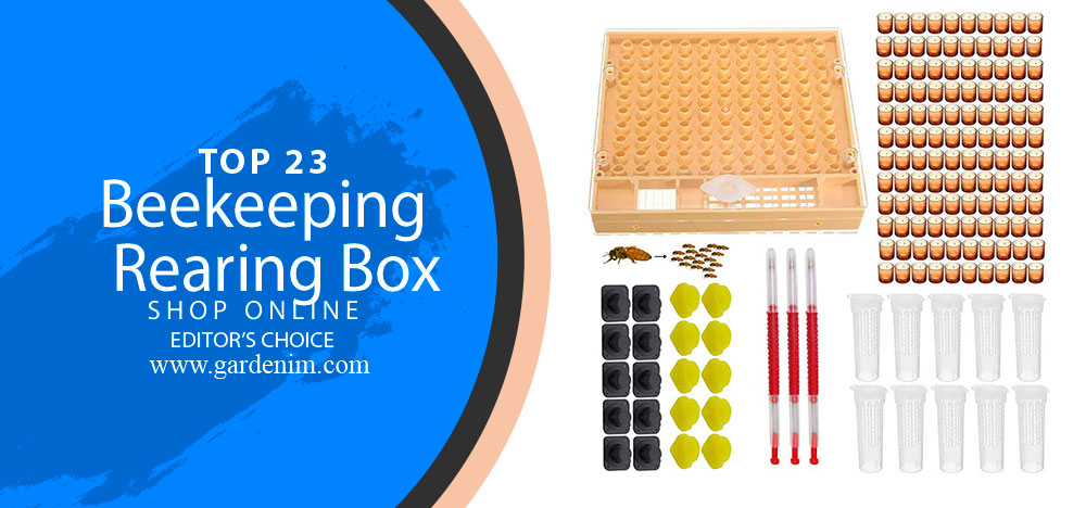 Beekeeping Rearing Box