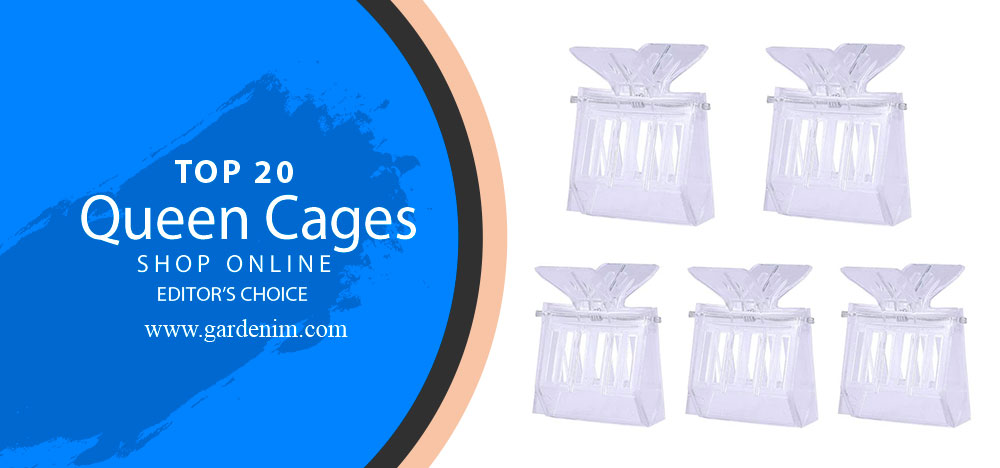 Best Queen Cages