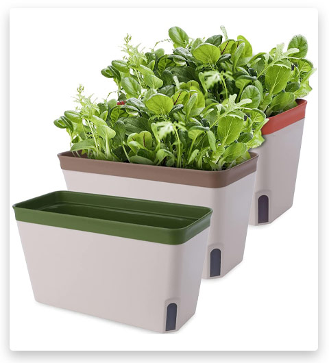 Akarden Windowsill Herb Planter Box