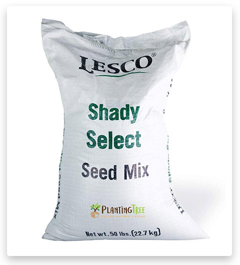 Lesco Shade Mix Grass Seed