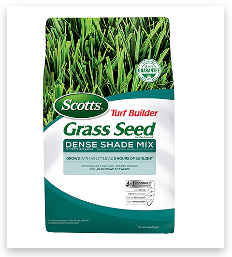 Scotts Grass Seed for Tall Fescue Lawns