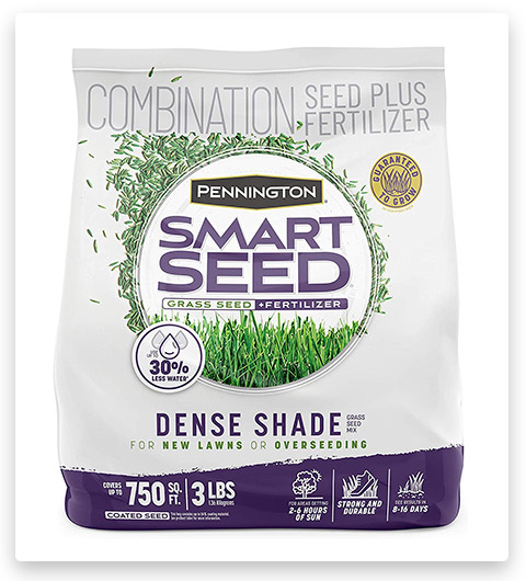 Pennington Smart Seed