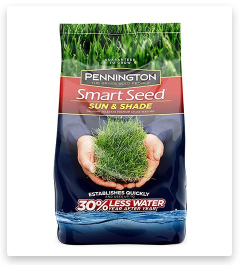 Pennington Smart Sun and Shade Grass Seed