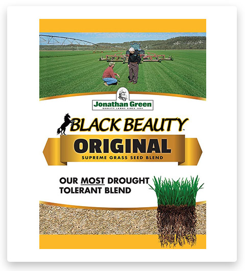 Jonathan Green Black Beauty Grass Seed Mix, 25-Pound 