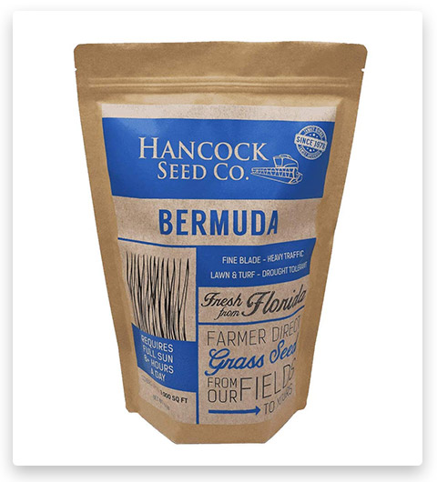 Hancock's Common Bermuda Spring & Summer Grass Seed