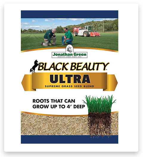 Jonathan Green Black Beauty Ultra Grass Seed Mix, 7 Pounds