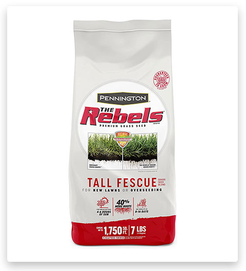 Pennington The Rebels Tall Fescue Grass Seed