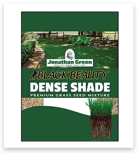 Jonathan Green Dense Shade Grass Seed