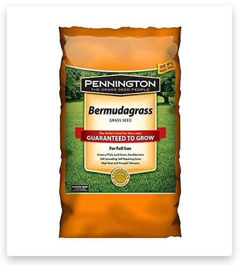 Pennington Bermuda Grass Seed