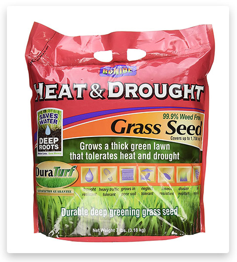 Bonide Heat and Drought Grass Seed