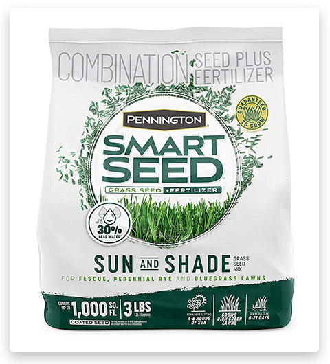 Pennington Smart Seed Sun and Shade Grass Seed