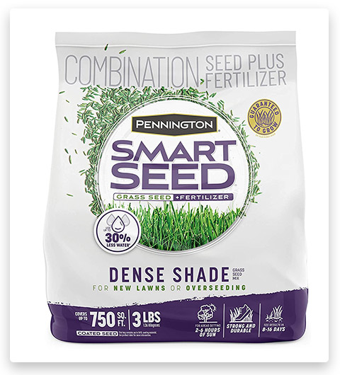 Pennington Smart Seed Dense Shade Grass Seed and Fertilizer Mix