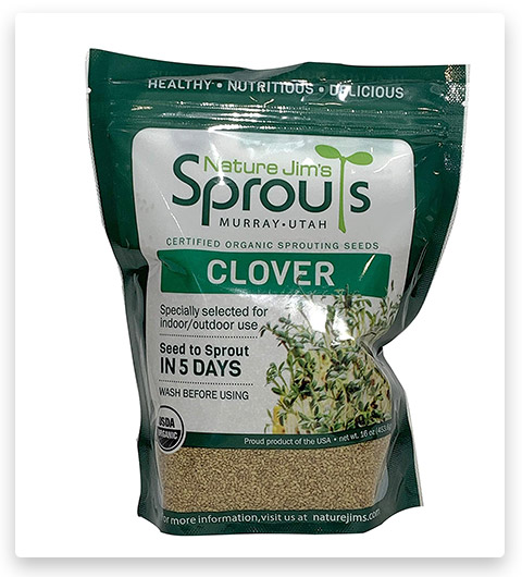 Nature Jims Clover Sprout Seeds
