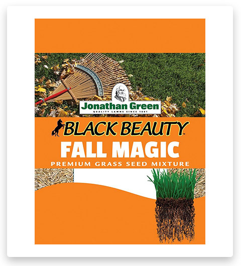 Jonathan Green Fall Magic Grass Seed