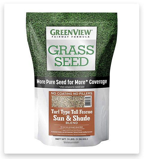 GreenView Turf Type Fescue Grass Seed