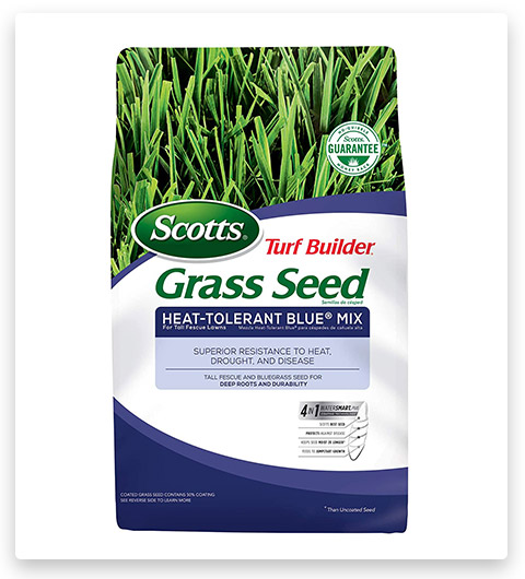 Scotts Turf Builder Heat-Tolerant Grass Seed 