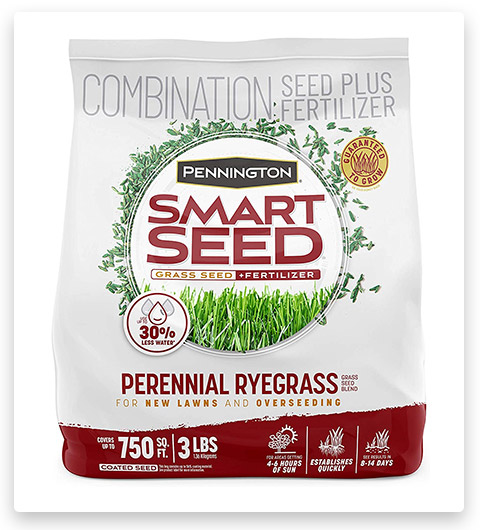 Pennington Perennial Ryegrass and Fertilizer Blend Seed
