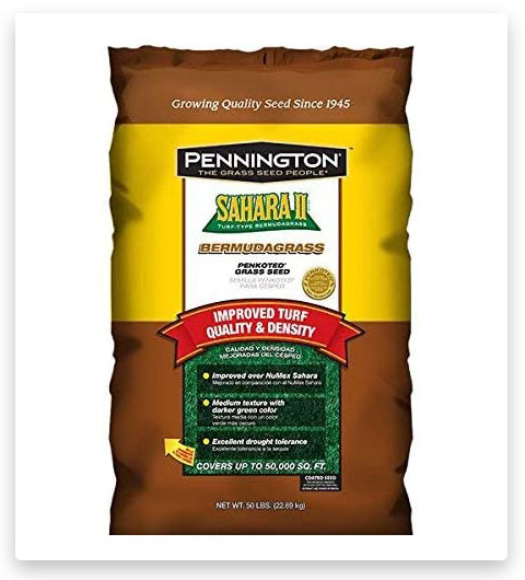 Pennington Sahara Bermuda Grass Seed